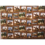 Life in Native America